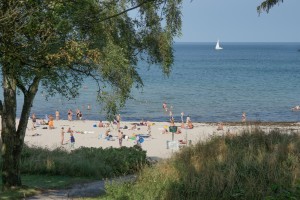 Storedalen-DSC05679